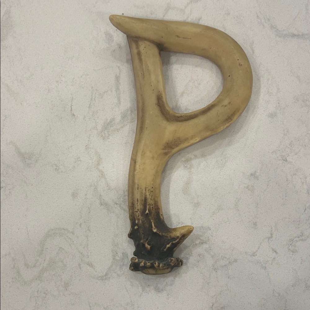 🎄 Rustic Bone Letter P Decor